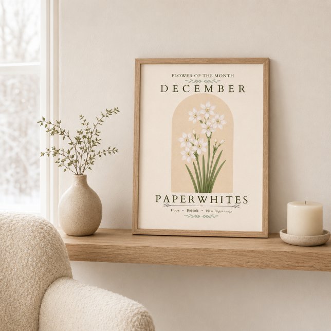 Poster Pôster de Paperwhites Flor de Nascimento de Dezemb (Criador carregado)