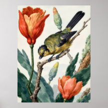 Pôster de Parede de Flores e Pássaros Botânicos Fo