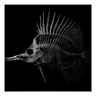 Póster Pôster de Raio-X do Esqueleto de Peixe Gótico