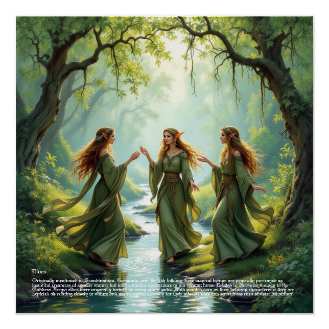 Póster Poster de Recolha de Elf (Frente)