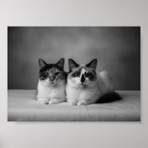 Pôster de retrato de animal de estimação personali