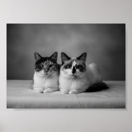 Poster Pôster de retrato de animal de estimação personali