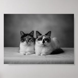 Poster Pôster de retrato de animal de estimação personali