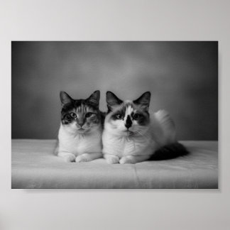 Poster Pôster de retrato de animal de estimação personali