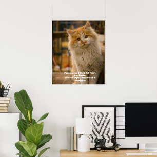 Poster Pôster de Retrato de Gato Personalizado - Impressã