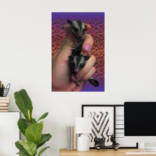 Póster Pôster de Sugar Glider (Escritório em casa)
