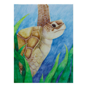 Póster Poster de Tartaruga do Mar