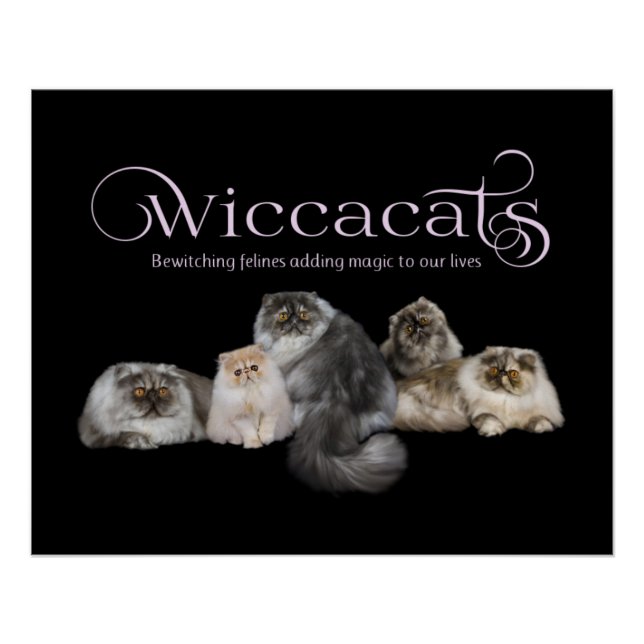 Póster Poster de WiccaCats (Frente)