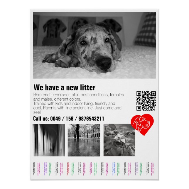 Póster Pôster Desmontável Personalizado de Filhote de Dog (Frente)
