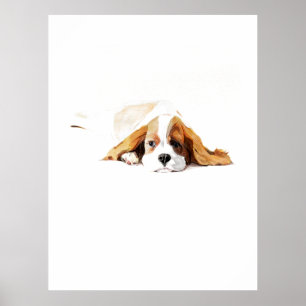 Poster Pôster do Cavalier King, Arte de Parede de Cachorr