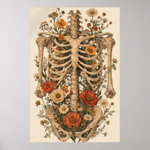 Poster Pôster do Esqueleto da Anatomia Floral, Botânica V