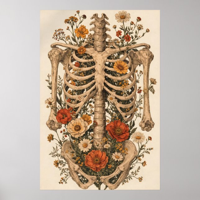 Poster Pôster do Esqueleto da Anatomia Floral, Botânica V (Frente)