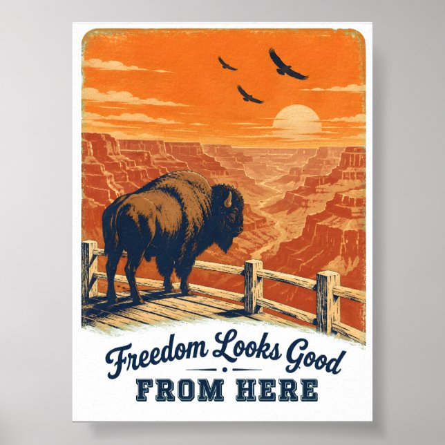 Poster Pôster do Freedom Looks Good Canyon (Frente)