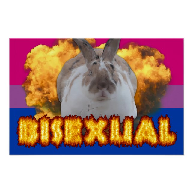 Póster Poster do Orgulho Paddy (Bissexual) (Frente)
