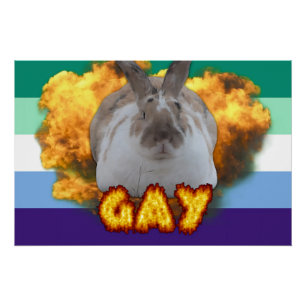 Póster Poster do Orgulho Paddy (MLM)