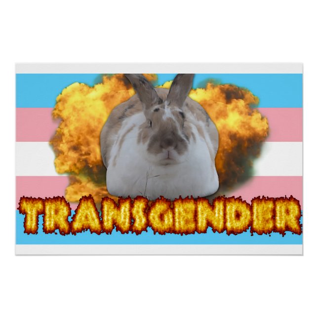 Póster Poster do Orgulho Paddy (Transgender) (Frente)