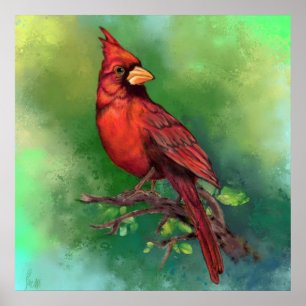 Poster Pôster do Pássaro Cardinal Vermelho do Norte - Pin