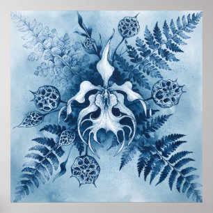 Poster Pôster do Pó de Semente de Samambaia Orquídea Cian