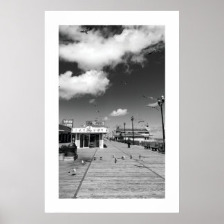 Poster Pôster do Tabuleiro de Seaside Heights Seagulls