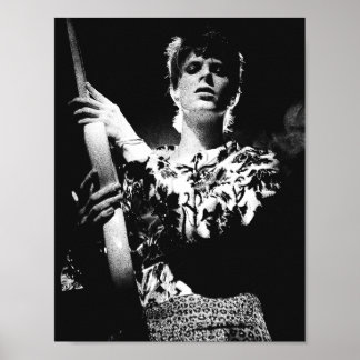 Poster Pôster do Tributo ao Ziggy Stardust de David Bowie