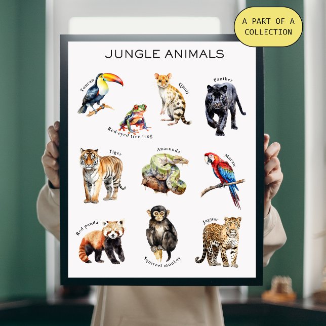 Póster Poster educacional de animais da selva (Criador carregado)