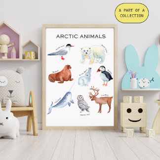 Póster Pôster Educativo de Animais do Ártico