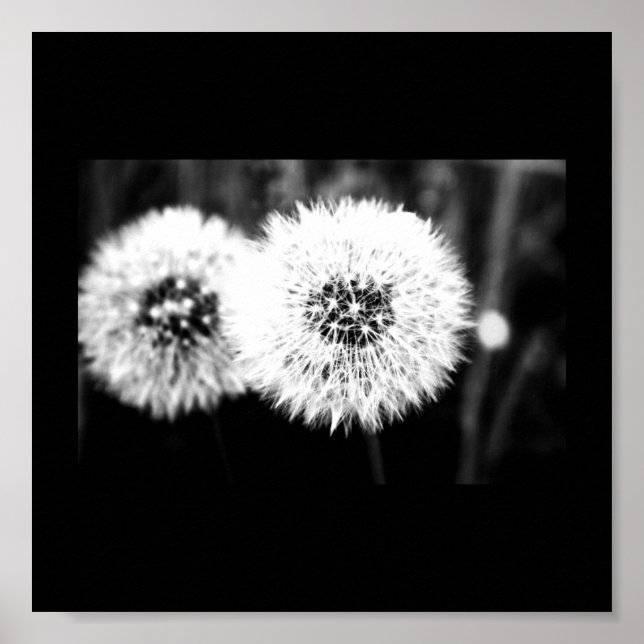 Poster Poster-Flores-141 (Frente)
