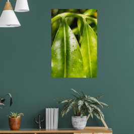 Poster Pôster Folhas Verdes Pintadas