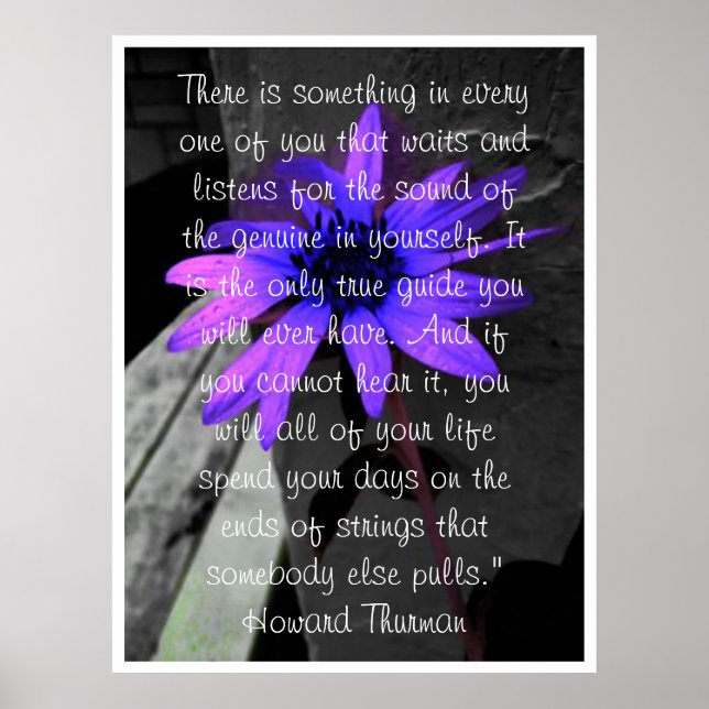 Póster Poster, Girassol Grande com gotas de chuva Inspira (Frente)