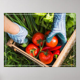 Poster Poster-Harvest