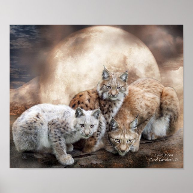 Póster Poster/Impressão (Frente)