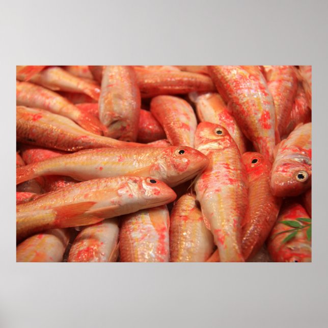 Poster Poster/Impressão (Frente)