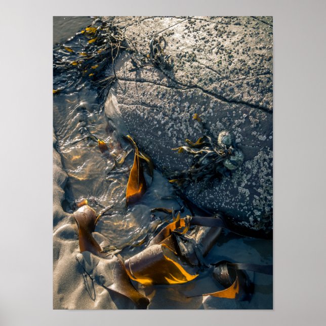 Póster Poster/Impressão (Frente)