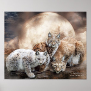 Póster Poster/impressão da arte da lua do lince
