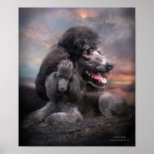Póster Poster/impressão da arte da rocha da caniche