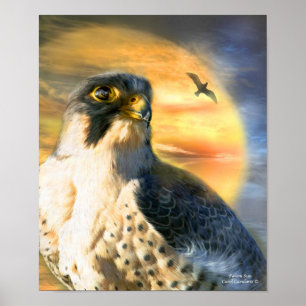 Poster Poster/impressão da arte de Sun do falcão