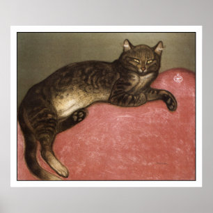 Póster Poster/impressão da arte do gato: Gato esticado