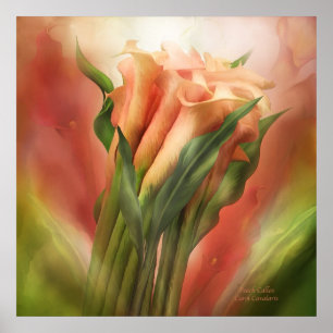 Poster Poster/impressão da arte dos Callas do pêssego