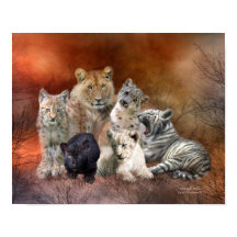 Poster/Impressão de Arte Jovem E Selvagem