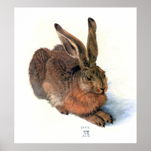 Póster Poster/impressão: O coelho