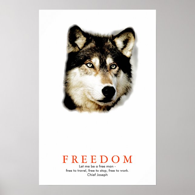 Poster Pôster Impresso Motivacional Lobo da Liberdade Úni (Frente)