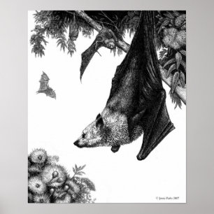 Póster Poster/impressões das raposas de vôo