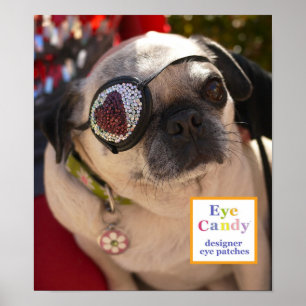 Póster Poster: Mascote de Olhos Doces, Trixie o Pug