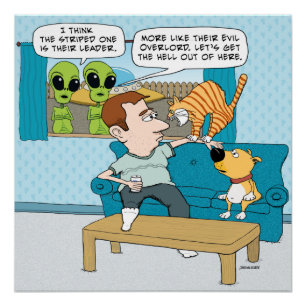 Póster Poster mau engraçado do gato