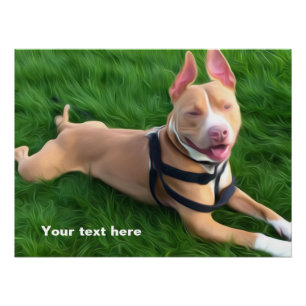 Póster Poster moderno com cachorro-do-pit-bull na grama v