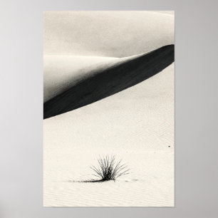 Poster Pôster Monocromático Sombras da Duna do Deserto Na