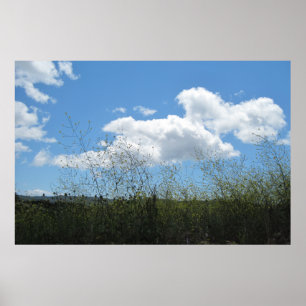 Póster Poster: Mostarda nas nuvens