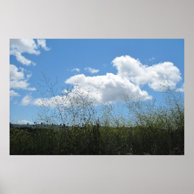 Póster Poster: Mostarda nas nuvens (Frente)