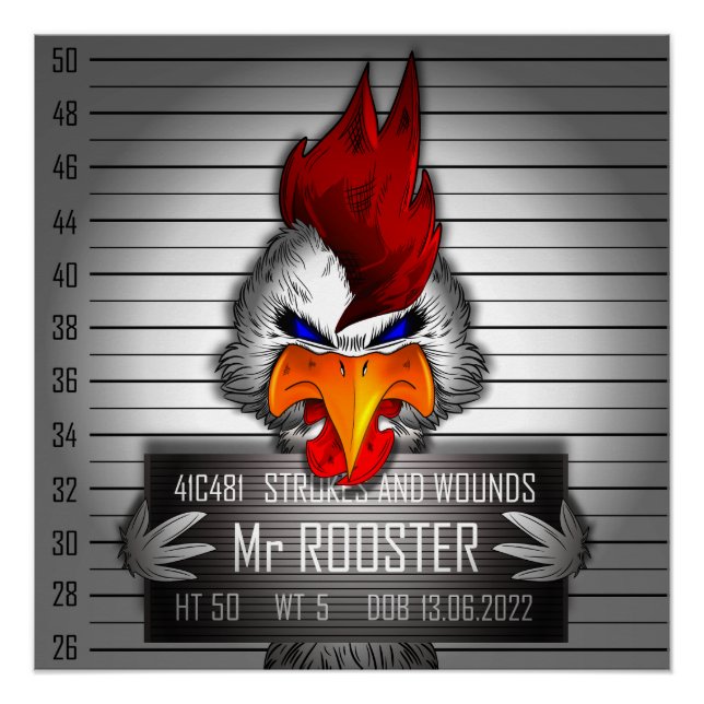 Póster Poster Mr Rooster (Frente)