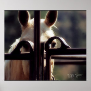 Poster Poster, mudança da perspectiva, cavalo, fazenda,